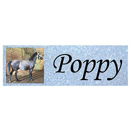 Personalised Stable Door Sign, Horse/Pony Name Plate Plaque Metal Sign Nameplate Glitter
