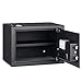 Amazon Basics Steel Home Security Safe with Programmable Biometric Fingerprint Lock, Secure Cash, Jewelry, ID Documents, 0.5 Cubic Feet, Black, 13.8