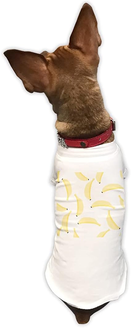 Amazon 犬服 Tシャツ Xlサイズ 小型犬用 袖あり 半袖 ホワイト 犬専用 T Shirts ドッグ ペットウェア ペット服 カジュアル おしゃれ コットン 綿 バナナ 果物 白 Igsticker 家電 カメラ