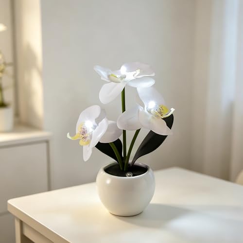 Image of White Artificial Orchid Lamp, Cordless Touch Control Floral Night Light, Valentine's Mothers Day Wedding Birthday Gift for Mom Wife Friends, Floral Table Light for Bedroom Indoor Home Ornament