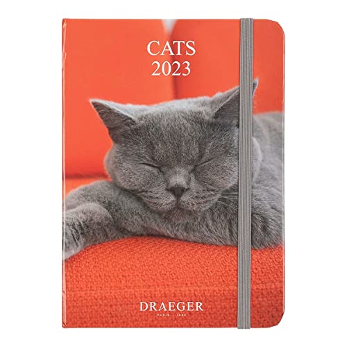 Draeger Paris - Agenda de poche Chats - 2023, white - Image 2