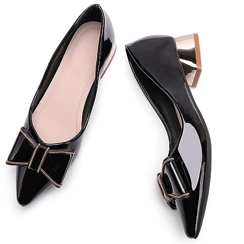 Danglianying Women'S Chunky Closed Toe Low Block Heels Work Pumps Comfortable Dress Wedding Shoes For Party Office Black Size 8 thumb #1