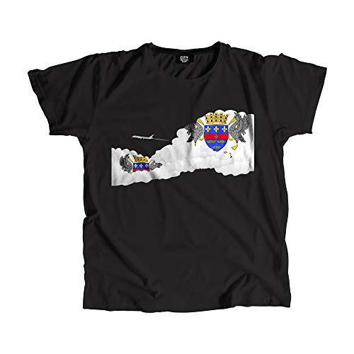 T-shirt Saint Barthélemy avion coton unisexe pour passionnés d'aviation