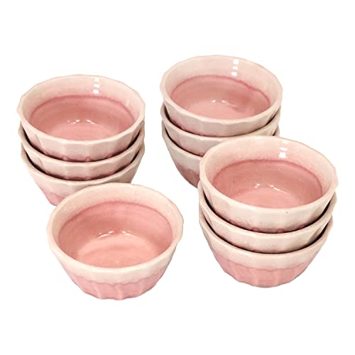 Z aJtFV[Y t yz sN 10g(TCY:H5×W9.8×D9.8)