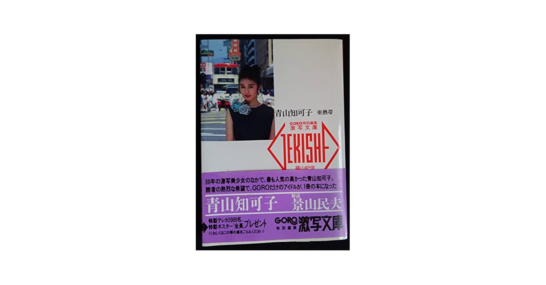 Amazon.co.jp: 4985／青山知可子 写真集 亜熱帯 GORO特別編集