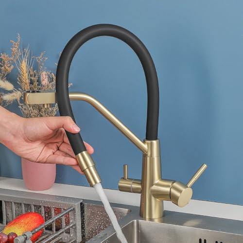 Robinet de cuisine filtrant mélangeur premium à finition brossée et double commande - 4