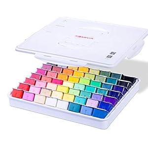 MIYA Gouache plakkaatverf set, 56 kleuren x 30ml Uniek Jelly Cup ontwerp in een draagtas, perfect voor kunstenaars…