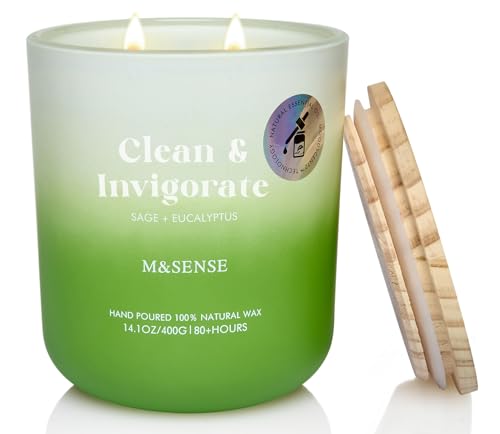 M&SENSE Sage Eucalyptus Scented Candle for Home, 14.1oz 80-Hour Non