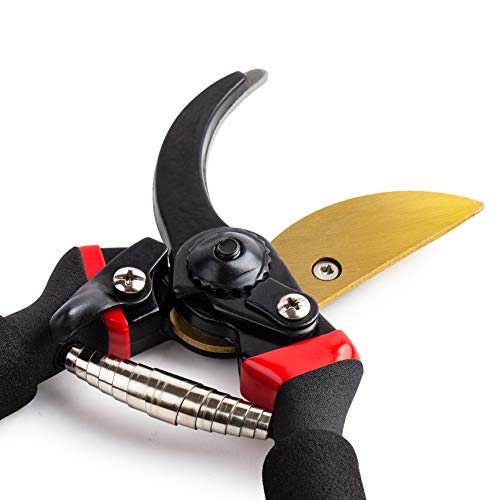 Mr. Pen- Pruning Shears, Garden Shears, 8