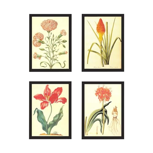 Botanical Framed Prints Wall Art Set of 4, Flowers Plants