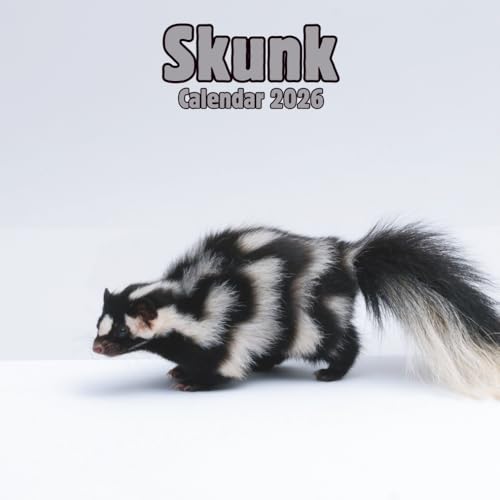 Skunk Calendar 2026: 14-Month Organizer from Nov 2025 to Dec 2026 | Perfect for Home, Office, School & Family Scheduling, For Men , Women , Girls , Boys