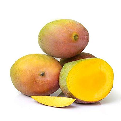 Fresh Mango, Sindhura (Lalbagh), 1 Kg (6-8 pcs/kg)