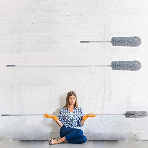 Spolverino Telescopico Spolverino per Polvere