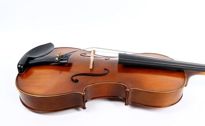 ModouString Viola Kit, 16 inch Acoustic viola, Maple Wood, Ebony Fittings with Bow,case for Adults, Beginners, Students (4 string)