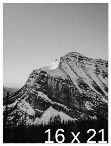 Frame It Easy 16 x 21 White Metal Frame (Ashford)