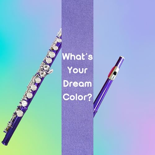 Image of Deloitte C Flute Closed Hole 16 Keys Nickel Plated, DFL-301, for Beginner Student Flute Instrument with Cleaning Kit, Carrying Case, Gloves, Tuning Rod (Purple Dream)