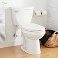 Signature Hardware 462381 Bradenton 1.28 GPF Two Piece Elongated Toilet with 14" Rough-In - White