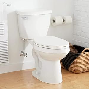 Signature Hardware 462381 Bradenton 128 GPF Two Piece Elongated Toilet with 14 Rough In White