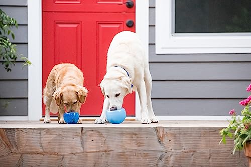 Planet Dog Orbee-Tuff Lil' Snoop - Interaktives Spielzeug für Hunde - Snackball - Royalblau - Klein