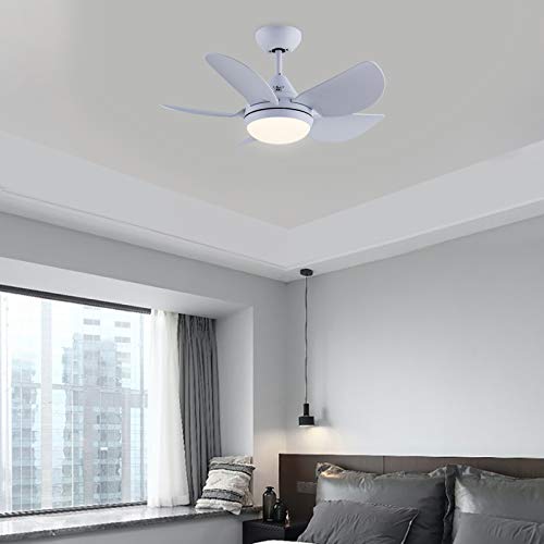 Cjoy Ceiling Fan With Lights, 30'' Small Modern Ceiling Fan With 5 Reversible Blades, Remote Controls, Adjustable Color Temperature, For Indoor, Matte White #TOP7
