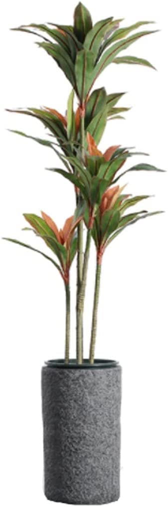 CVdrtyED Artificial Tree Plant Artificial Tree Brazilwood Simulation Plant Potted Living Room Large Fake Nordic Landscape Decoration Decor(175CM)