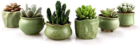 Succulent Planter Pots -Jomass 2.75-3" Small Ceramic Plant/Flower/Cactus Clay Pots with Drainage Window Boxes,Pack of 6