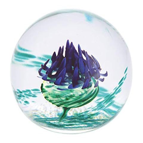 Caithness Glass Multi-Colour Paperweight Cover