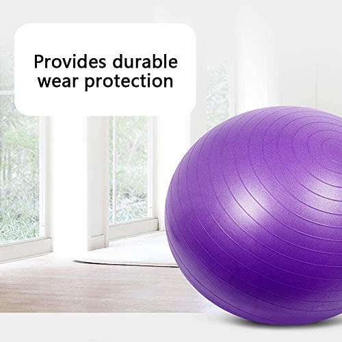 Pelota de pilates con bomba para aliviar el dolor lumbar 3