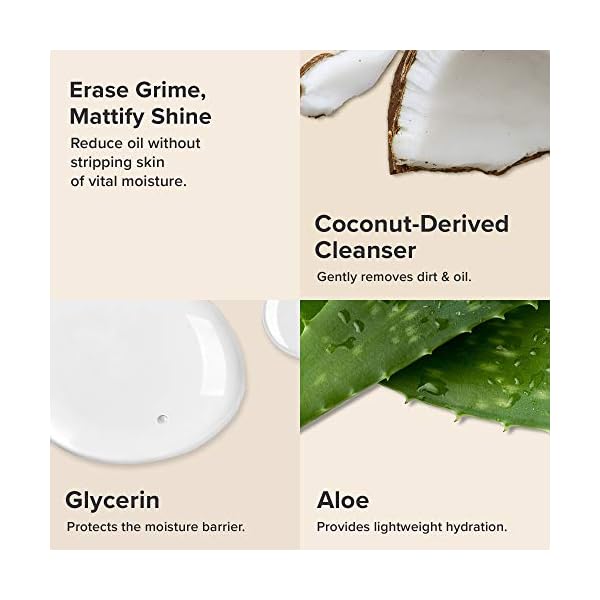 Paula's Choice SKIN BALANCING Oil-Reducing Cleanser with Aloe, Face Wash for Oily Skin & Large Pores, 8 Ounce