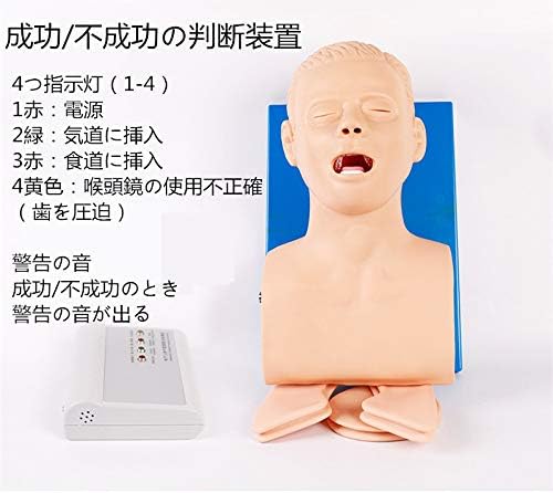 Amazon.co.jp: 気管挿管トレーニングモデル DAMシミュレータ