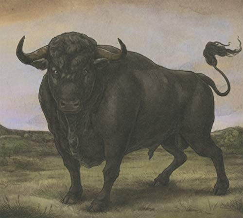 Fermin, San San Fermin