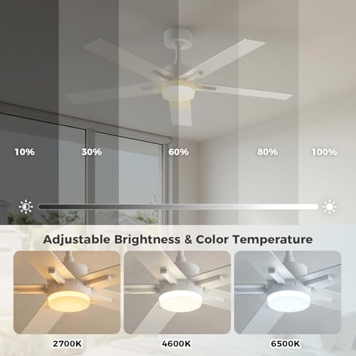 Image of Obabala Ceiling Fan with Light 52 Inch, DC Motor Ceiling Fan with Remote and APP Control, Dimmable LED Color Changing, Reversible Quiet Fan for Bedroom Living Room Indoor Outdoor, Modern