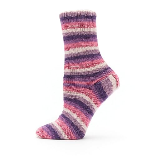 Image of Premier Yarns Fruits, Acrylic Sock Yarn, 2-Pack Bundled with Bella's Crafts Stitch Markers (Plum)