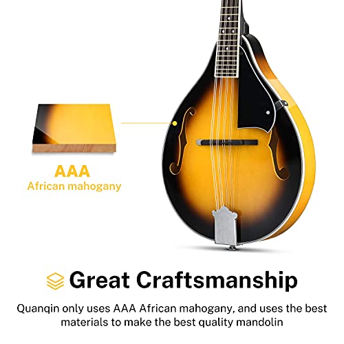 Donner DML-1 Mandolin