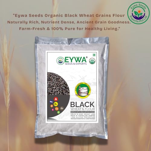 Image of Eywa Seeds & Exports Pvt Ltd Organic Black Wheat Flour (15 Kg) For Eating And Cooking|Kale Gehu Ka Atta|Produce Of India From Organic Farms