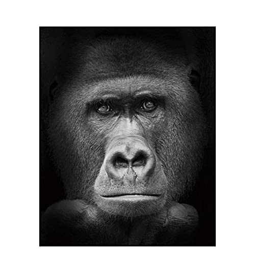 Kit d'art diamant tête de singe pour décorer votre salon