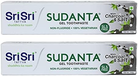 Sri Sri TATTVA shuddhta ka naam Sudanta Herbal Gel Multi Action Toothpaste - All Natural, Sls Free, Fluoride Free Tooth Paste With Charcoal, Salt & More - 100G (Pack Of 2), For Kids And Adults
