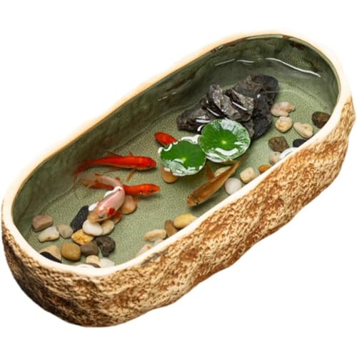 Kwueiit  k͔||bg T̐ r v[ ԊwIiϗp (43*21*10cm,CG[)