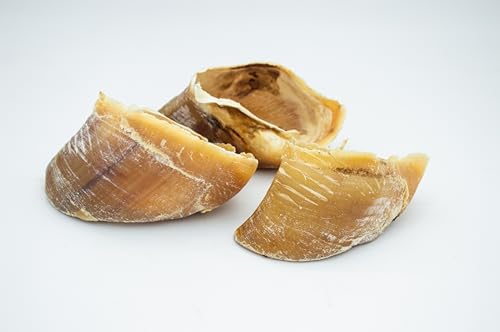 SAM SNACK - Zoccoli Bovini per Cani – 3 Pezzi | Snack Naturale a Lunga Masticazione | Aiuta a Pulire i Denti | Monoproteico, Ricco di Proteine | Adatto a Dieta BARF