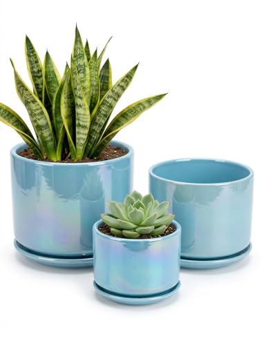 EFISPSS Ceramic Planter in Blue Pearl Glaze