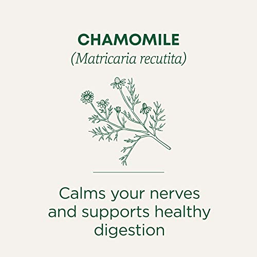 Traditional Medicinals TMT56 Tea, Organic Chamomile thumb #1