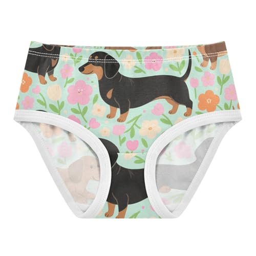 Organic Cotton Panties Breathable Triangle Panties Organic Underwear for Toddler Girls in Sizes 2T-8Y