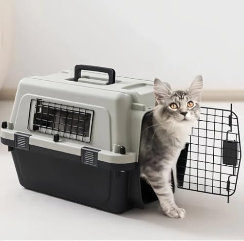 ^sp__TAPI PANDA ybgL[ p Lp N[g IATA gȒP Oo s@ s s ʋC p ^ 35.5*s50*34p