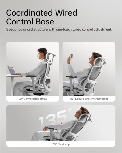 Image of Hbada E2 Ergonomic Office Chair, Big and Tall Mesh Office Chair with 6-Way Dynamic Lumbar Support, 3D Adjustable Armrests, 3D Adjustable Headrest, Grey (No Footrest)