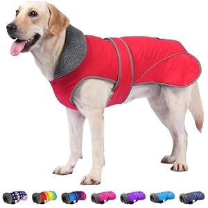 Dogcheer Dog Coat, Christmas Dog Jacket Waterproof Dog Winter Coat for Cold Weather, Reflective Dog Winter Jacket Warm Turtleneck Dog Snow Jacket Fleece Sweater for Small Medium Large Dogs – Red, S