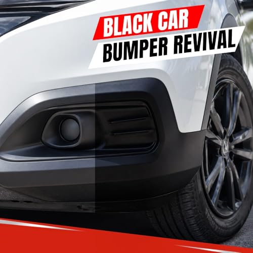 Image of CX2 Black Plastic Reborn | 300ml Plastic & Rubber Restorer | Revives Faded Exterior Trim & Bumpers | Long-Lasting UV Protection | Wash Resistant for Car, Bike, Scooty