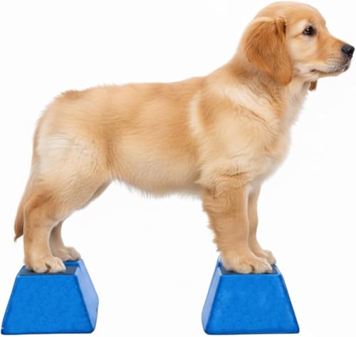 Professional Dog Stacking Blocks for Large Breed Conformation Training - Set of 4 with Non-Slip Treads (White)