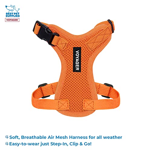 Image of Best Pet Supplies Voyager Step-in Lock Pet Harness w Reflective Pet Leash Combo Set with Neoprene Handle 5ft - Supports Small, Medium and Large Breed Puppies /Cats - Orange Set, XXXS