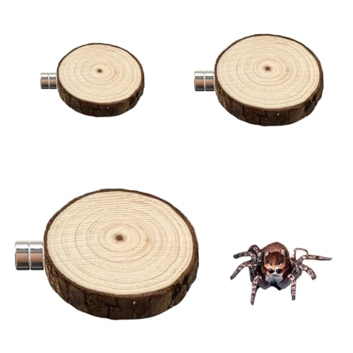 3�_�Z�b�g �����w偗p�A�N�Z�T���[ �ؐ������w偗p�o���v���b�g�t�H�[�� �ʔ����^�����`��������P�[�W�p�A�N�Z�T���[ �������E�V�їp