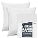 Fundas de Almohada (Juego de 2) - para Las Almohadas 65 x 65 cm - Blanco Dreamzie - 100% Algodon Jersey - Funda Cojin para Cama - Protector de Almohada